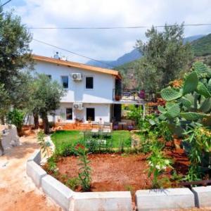 Kaktus Beach Apart 