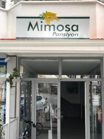Mimosa Pension - image 1