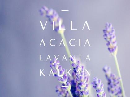 Villa Acacia LaVanta Kalkan - image 17