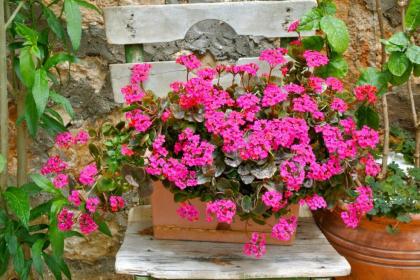 Hideaway - image 13