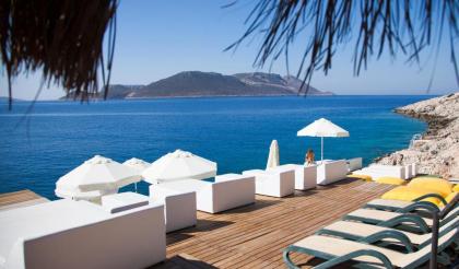Villa Hotel Tamara - image 6