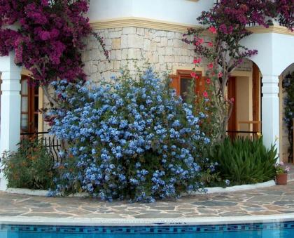 Hadrian Hotel - image 9
