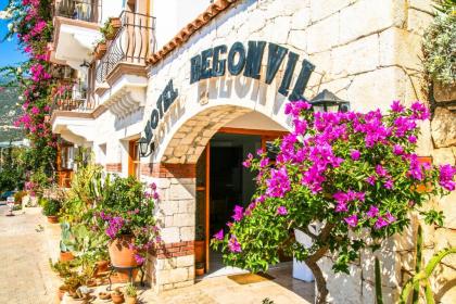 Hotel Begonvil - image 19