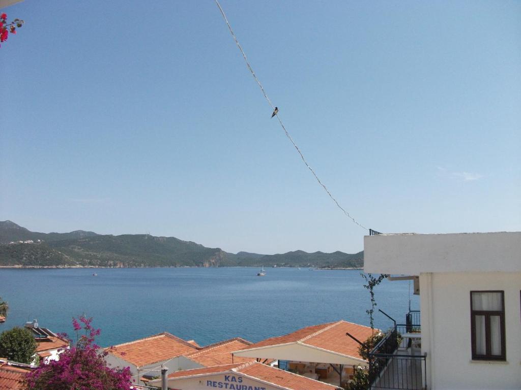 Sardunya Otel ARKA BİNA - image 5