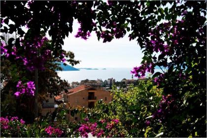 Aphrodite Hotel Kaş - image 8