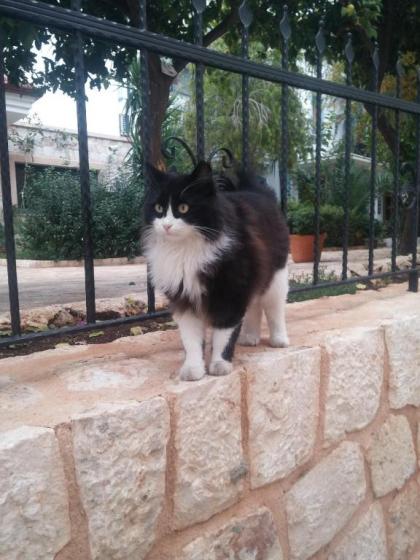 Payam Hotel - image 4