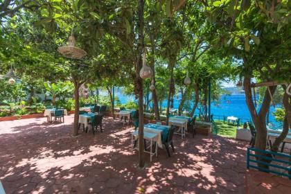 Sardunya Andifli Otel - image 11