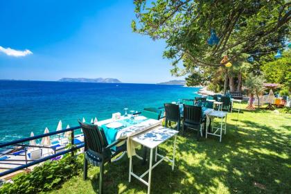 Sardunya Andifli Otel - image 18