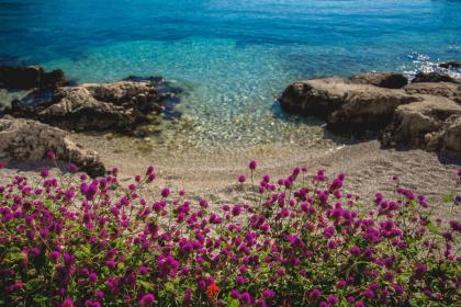 Blanca Beach Hotel - image 23