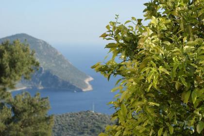 Villa Keady LaVanta Kalkan - image 4