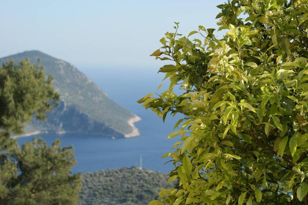 Villa Keady LaVanta Kalkan - image 4