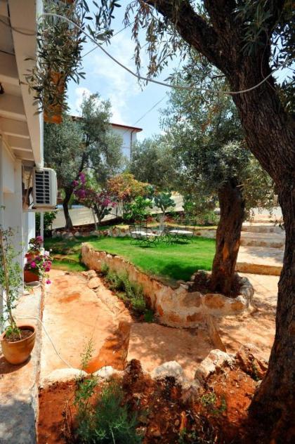 Kaktus Beach Apart - image 13