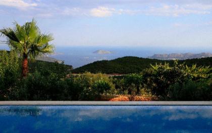 Luxury Villa with independent pool