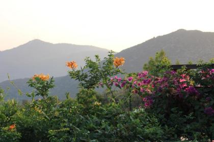 Villa Patricia LaVanta Kalkan - image 17