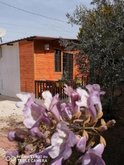 Likyaport YARIM PANSİYON 4 NO - image 14