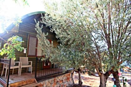 KAŞ HİSTORY LİMANAĞZI - image 11