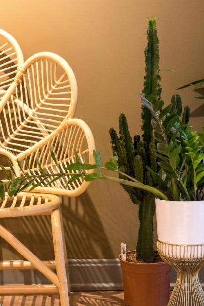 Luff Boutique Hotel - Adult Only - image 2