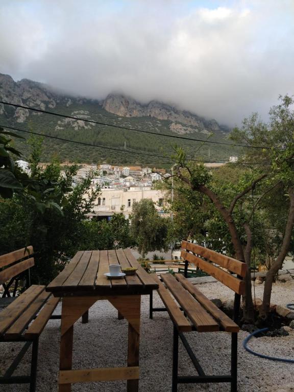 DuruPduru Kaş - image 4