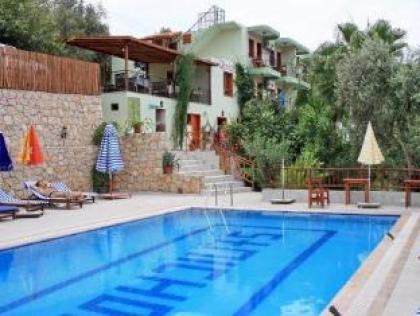 Patara Delfin Hotel - image 2