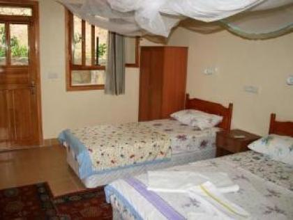 Patara Delfin Hotel - image 3