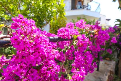 Sena Apart - image 21