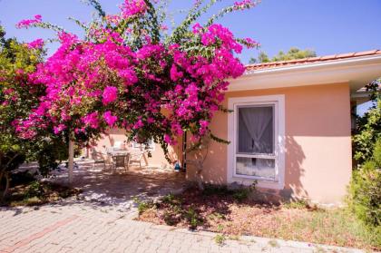 Peaceful Home Surrounded by Nature in Kas - image 16