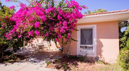 Peaceful Home Surrounded by Nature in Kas - image 24
