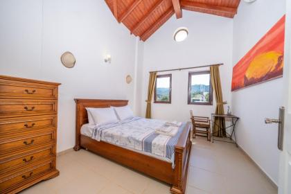 Ozy Villa / Bayındır - image 28