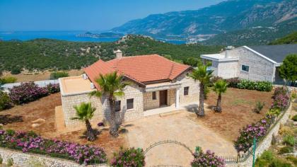 Ozy Villa / Bayındır - image 6