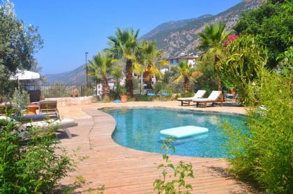 ParadisekasvillasPomegranate - image 9