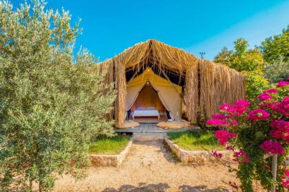 Kas Joy Glamping - image 8