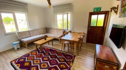 Spacious Flat with Private Pool in Kas - image 5