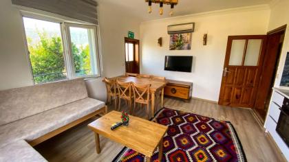 Spacious Flat with Private Pool in Kas - image 7