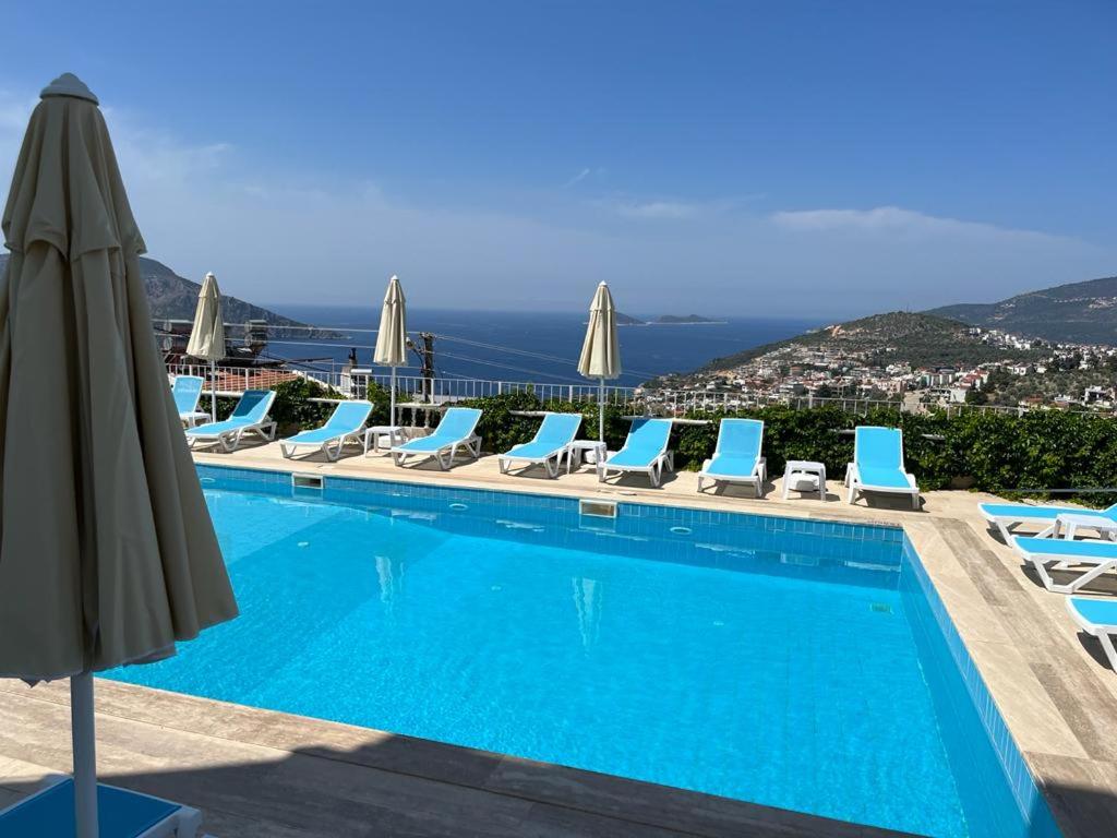 Marquis Blue Hotel - image 6
