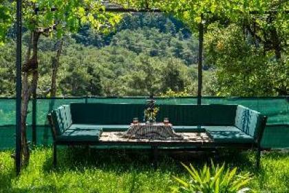 Villa Mountain House / İkizce - image 11