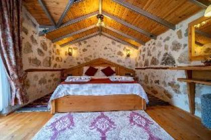 Villa Mountain House / İkizce - image 17